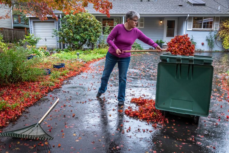 Lawn with Mulched Leaves