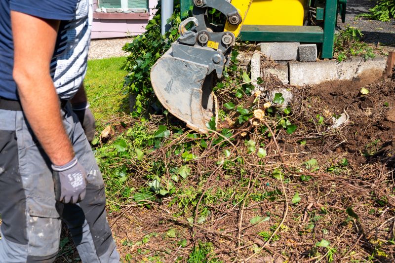 Shrub Removal Equipment