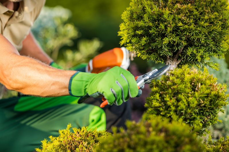 Licensed Landscaping Experts